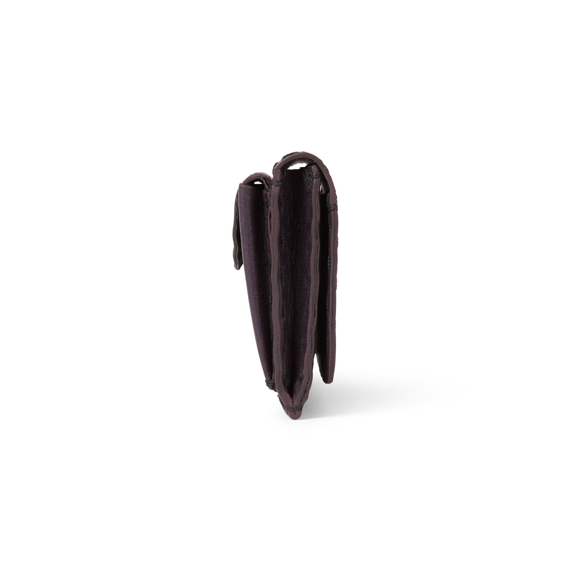 PP0282 Unicredit Messico Viola