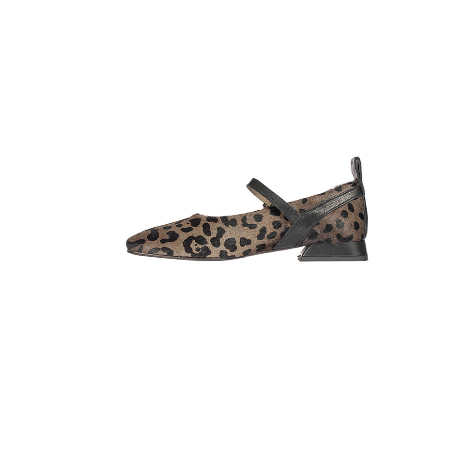 SD6012 Pony St. Leopardo