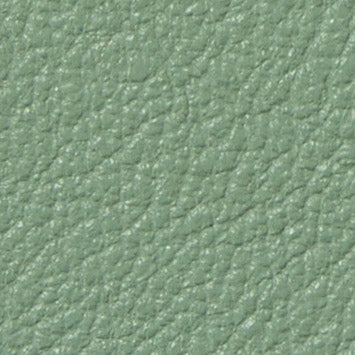 SD6124 Martellato