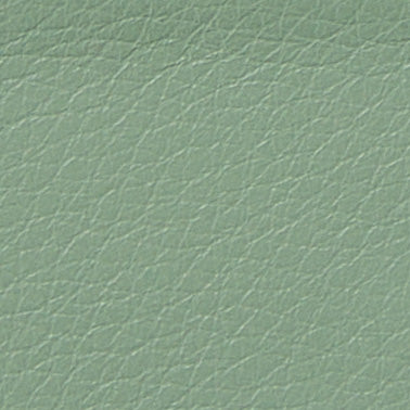 SD6121 Mousse