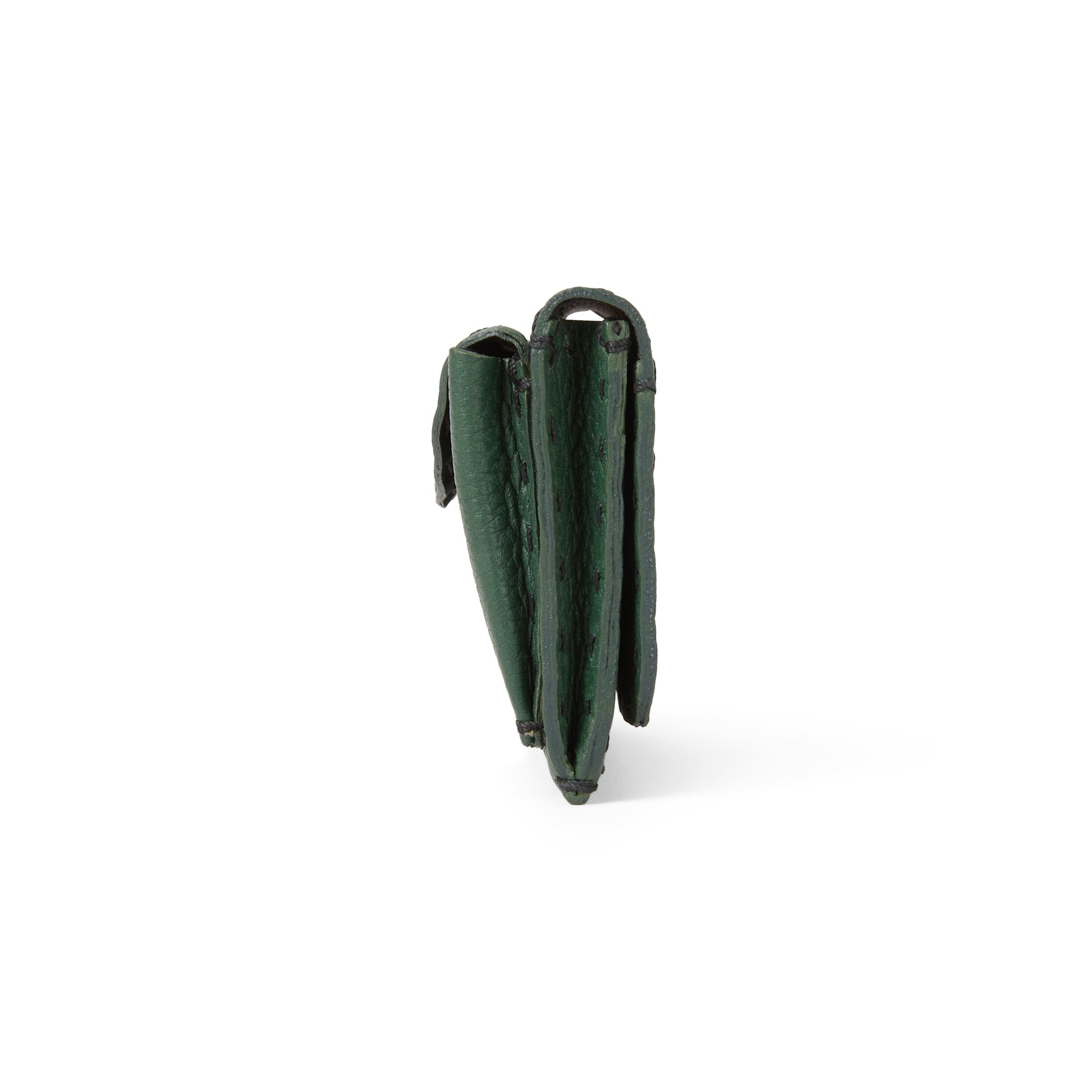 PP0282 Unicredit Muflone Pino