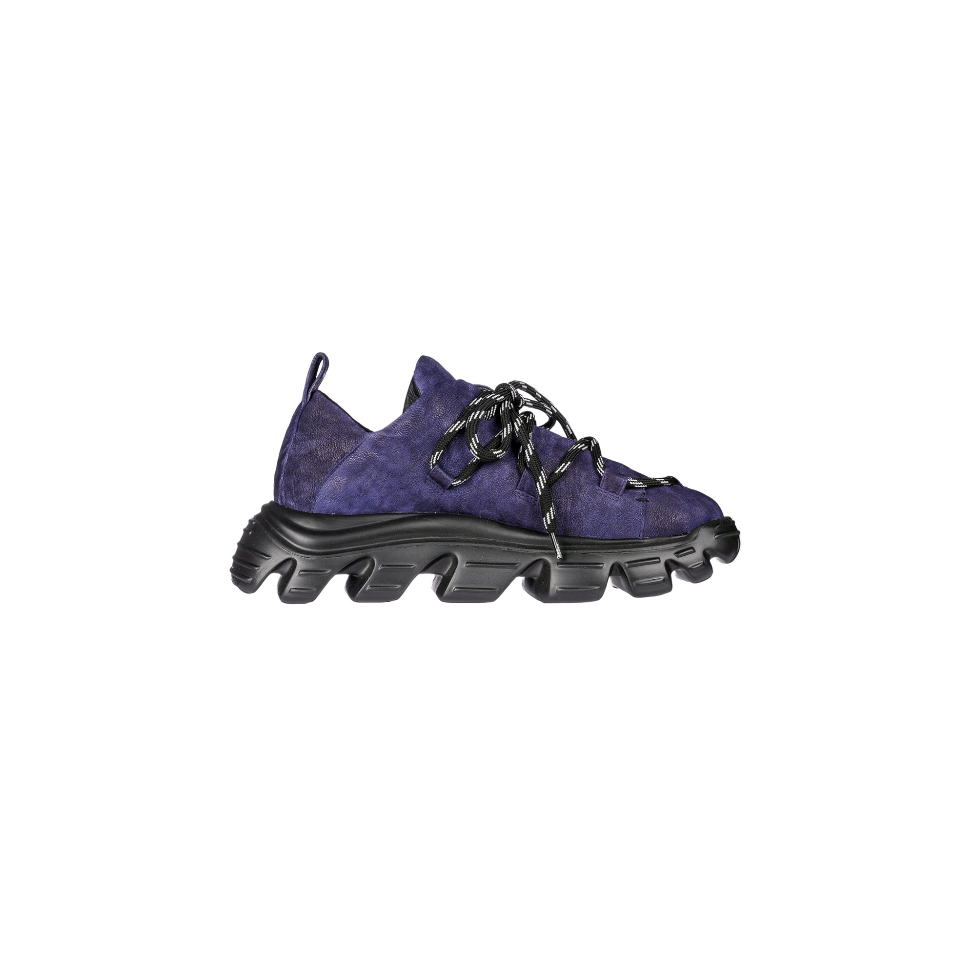 SD5503 Grattato Viola