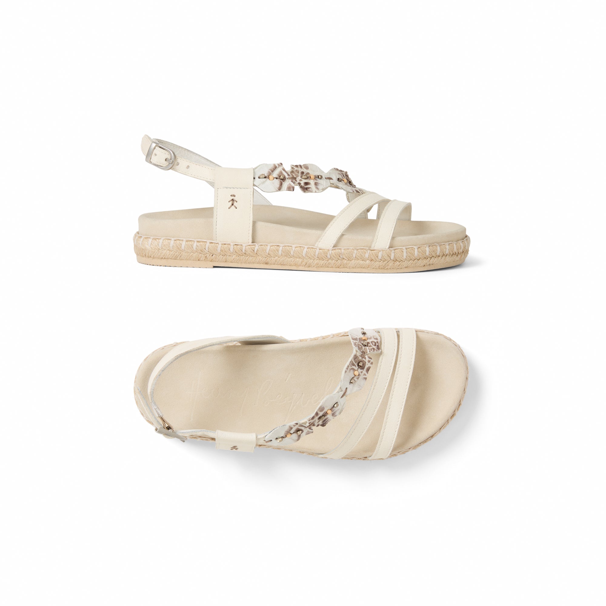 SD6127 Cocco