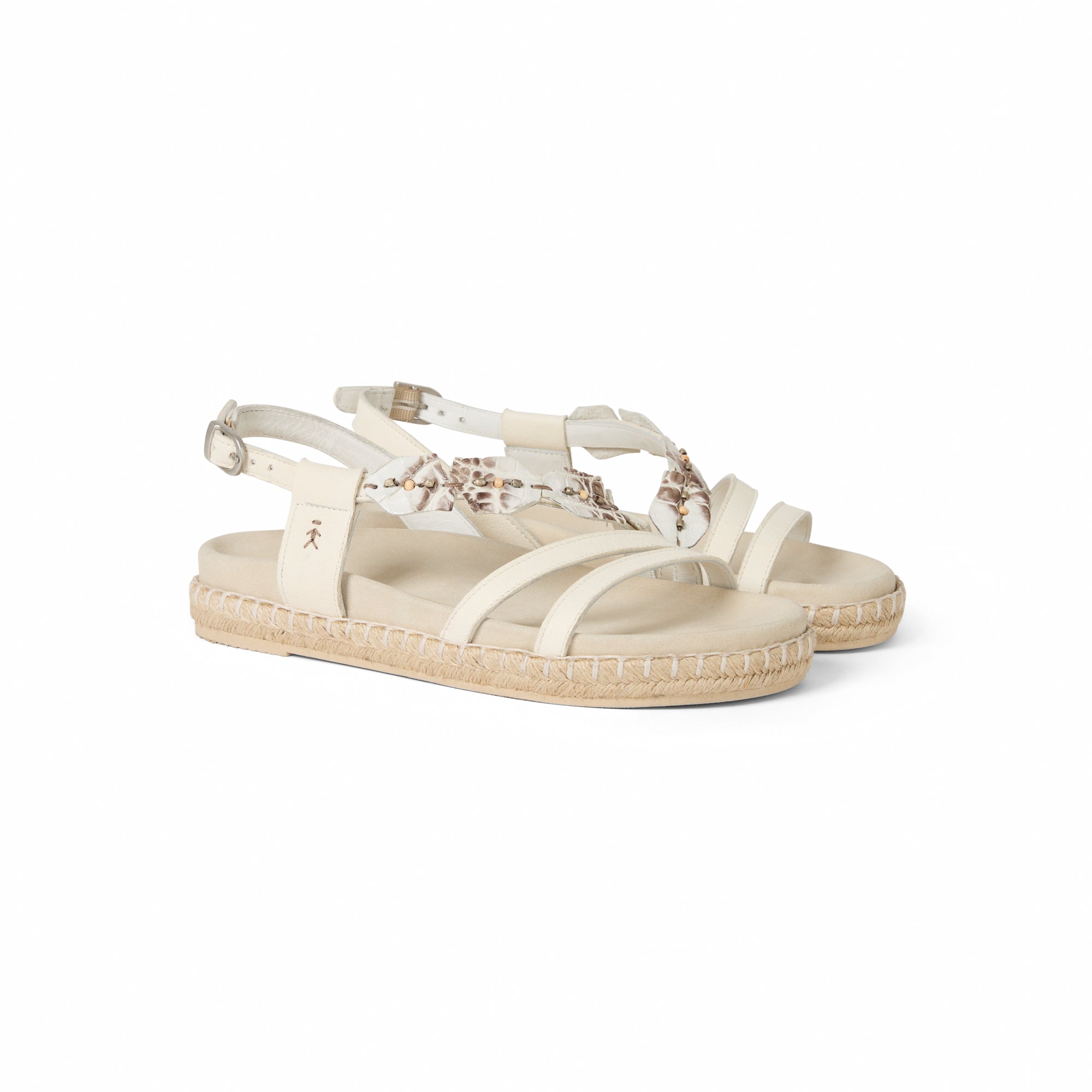 SD6127 Cocco