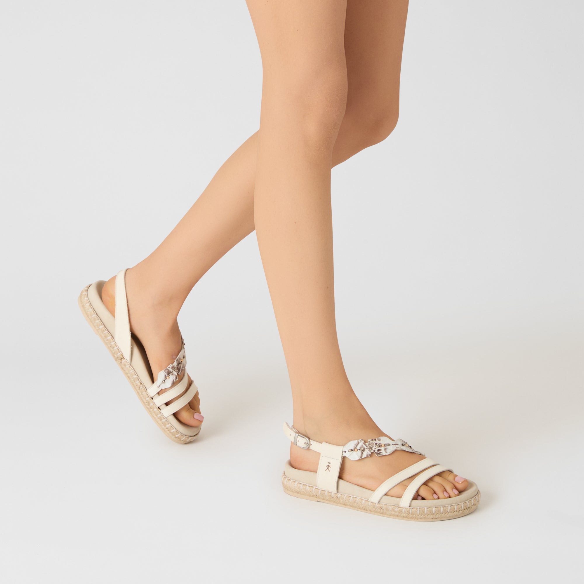 SD6127 Cocco