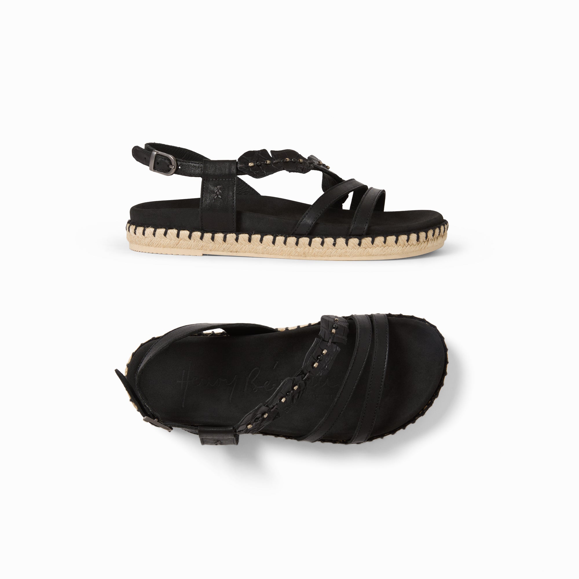 SD6127 Cocco